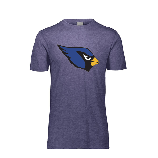 [FTSCUBRY-AS-LOGO1] Decker Men's Tri-Blend T-Shirt - Short Sleeve (Adult S, Royal, Logo 1)