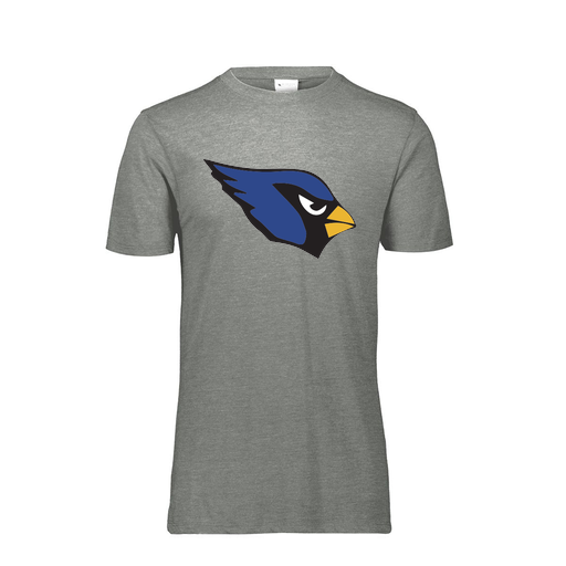 [FTSCUBGY-AS-LOGO1] Decker Men's Tri-Blend T-Shirt - Short Sleeve (Adult S, Gray, Logo 1)