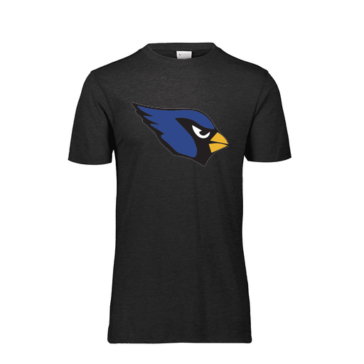 [FTSCUBBK-YS-LOGO1] Decker Youth Tri-Blend T-Shirt - Short Sleeve (Youth S, Black, Logo 1)